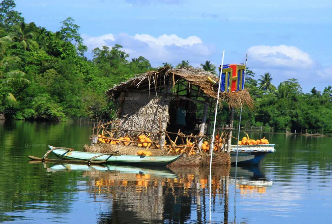 Love on the River – Madu River Safari